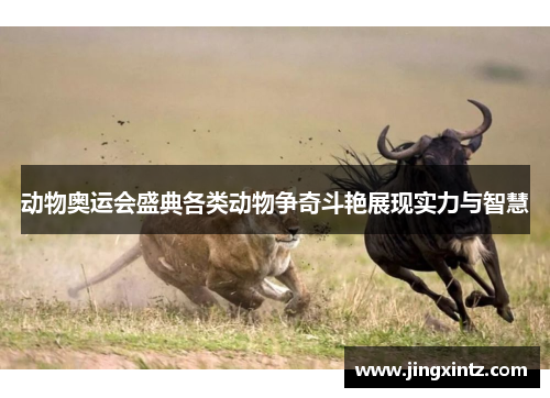 动物奥运会盛典各类动物争奇斗艳展现实力与智慧